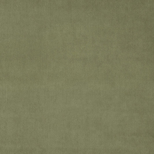 Green Tea Fabric Sample