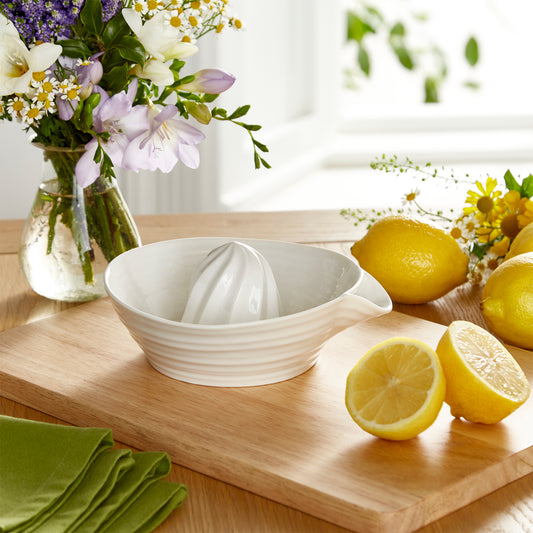 White Porcelain Juicer