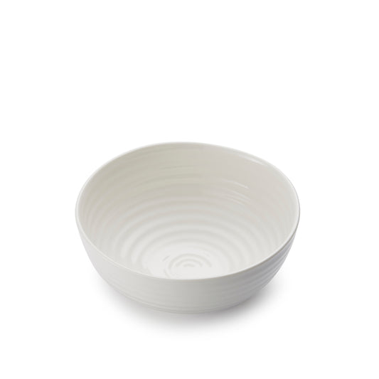 White Porcelain Noodle Bowl - Set of Four