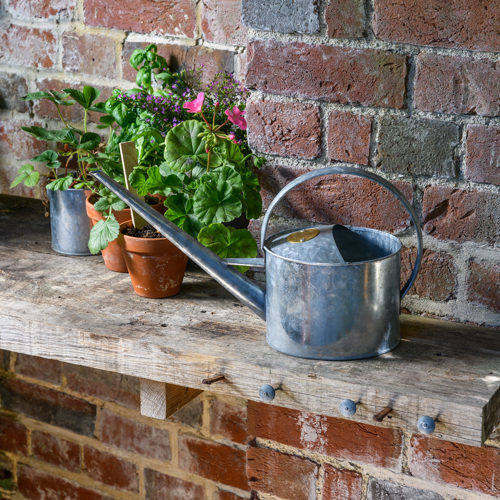 metal house plant watering can Large Indoor Watering Can