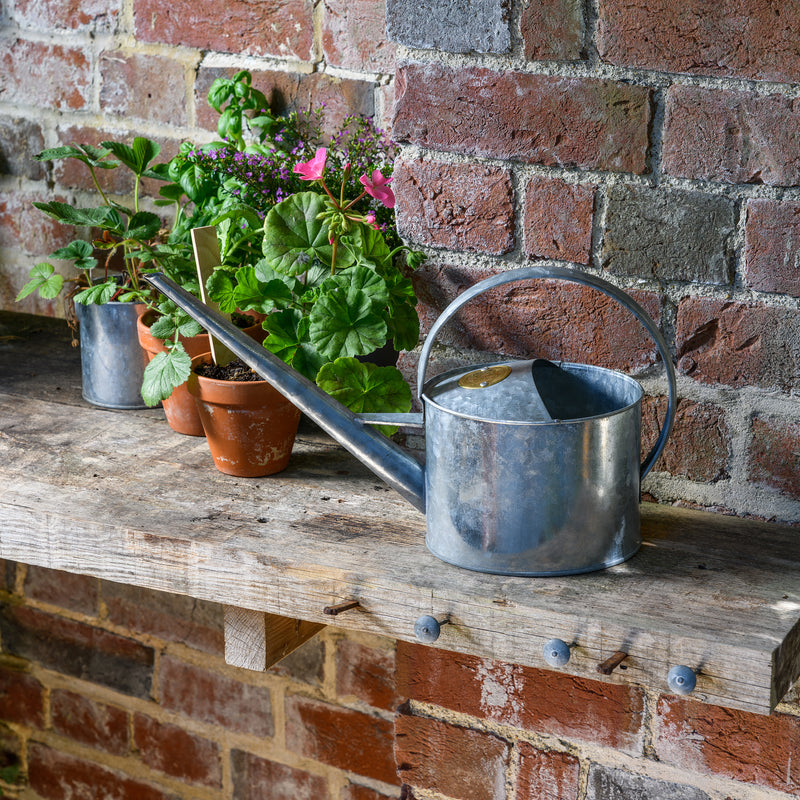 Large Indoor Watering Can - Galvanized