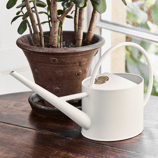 Large Indoor Watering Can - Buttermilk