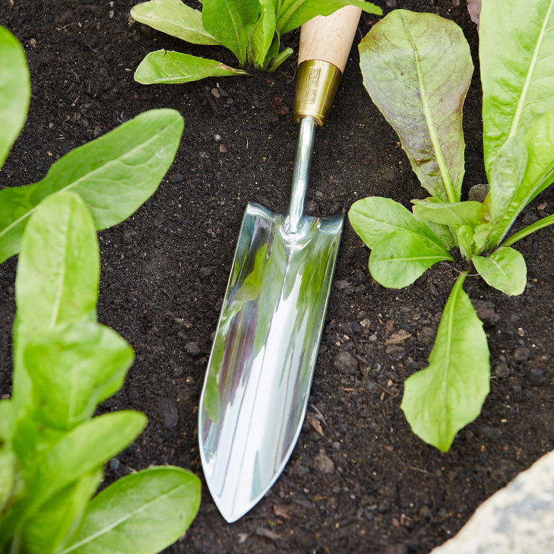Long Thin Trowel