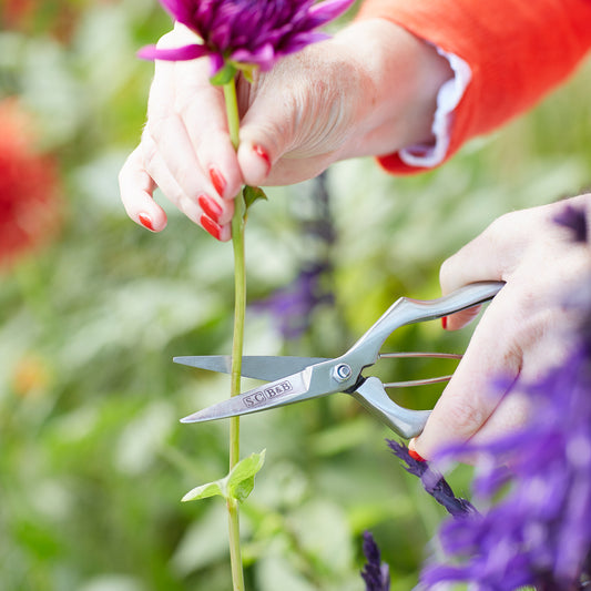 Garden Precision Secateurs