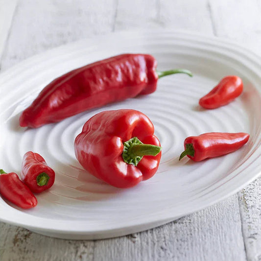 White Porcelain Large Platter