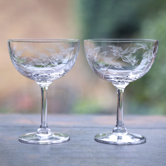 Two Champagne Saucers with Fern Design by Vintage List