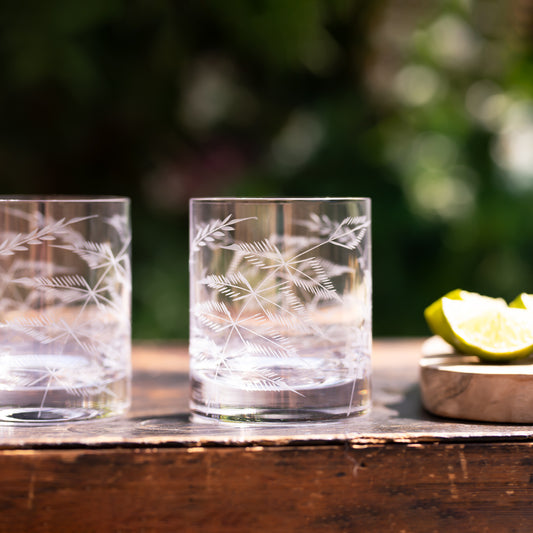 Two Whisky Glasses with Fern Design by Vintage List