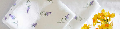 Lavandula