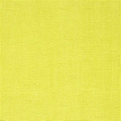 Designers Guild - Alchemilla Per Metre