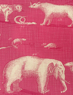 Kingdom Paradise Cushion 55x55CM