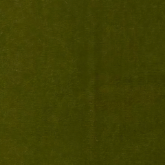 Pelham Moss Fabric Sample