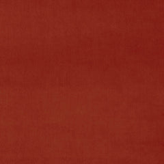 Carnelian Fabric Sample