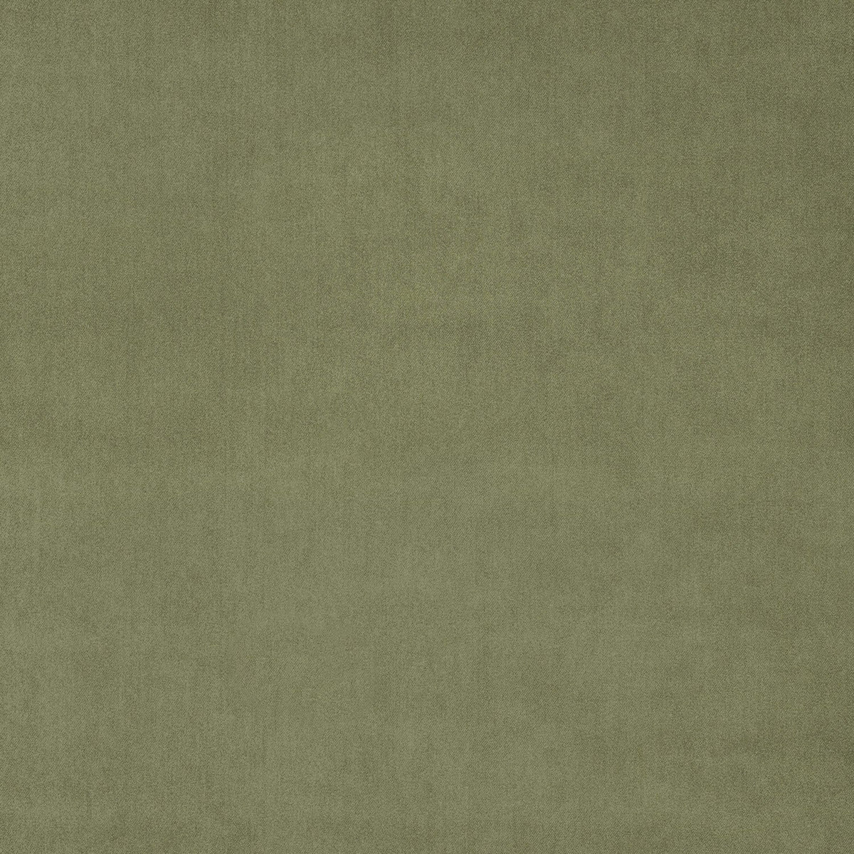 Green Tea Fabric Sample