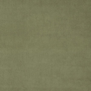 Green Tea Fabric Sample