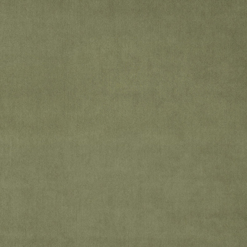 Green Tea Fabric Sample