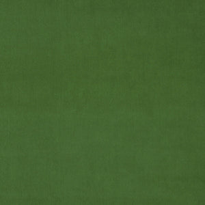 Parakeet Fabric Sample