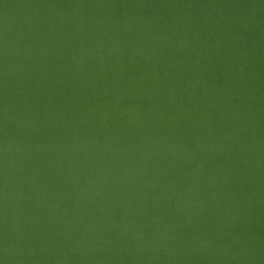 Parakeet Fabric Sample