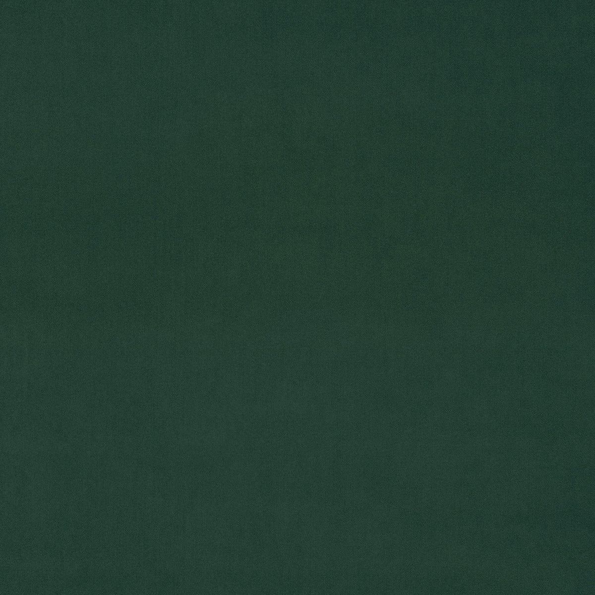 Pine Fabric Sample