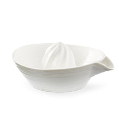 White Porcelain Juicer