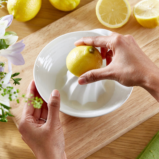 White Porcelain Juicer
