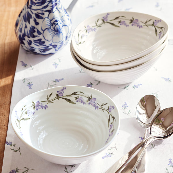 Lavandula collection