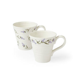 Lavandula Mugs - Set of 2
