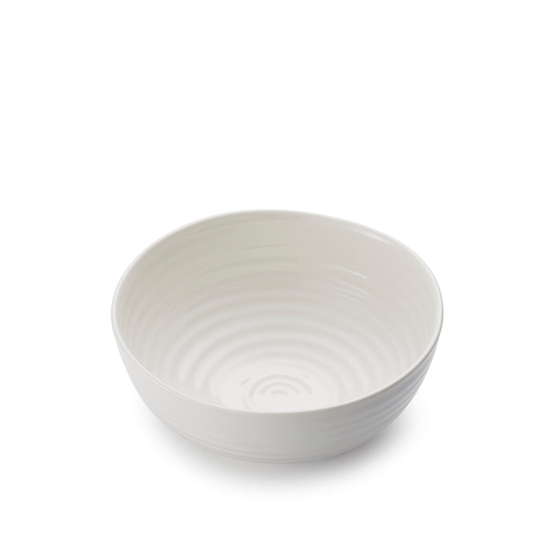 White Porcelain Noodle Bowl - Set of Four