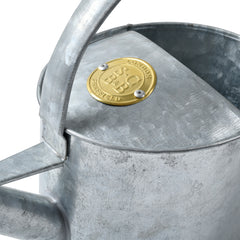 Large Indoor Watering Can - Galvanized