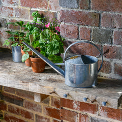 Large Indoor Watering Can - Galvanized