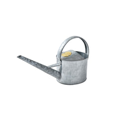 Small Indoor Watering Can - Galvanized