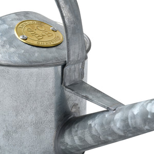 Small Indoor Watering Can - Galvanized