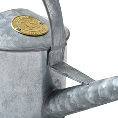Small Indoor Watering Can - Galvanized