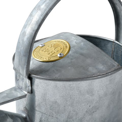 Small Indoor Watering Can - Galvanized