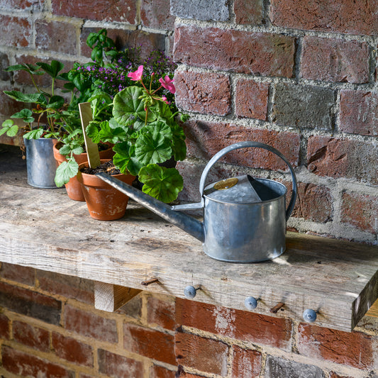 Small Indoor Watering Can - Galvanized