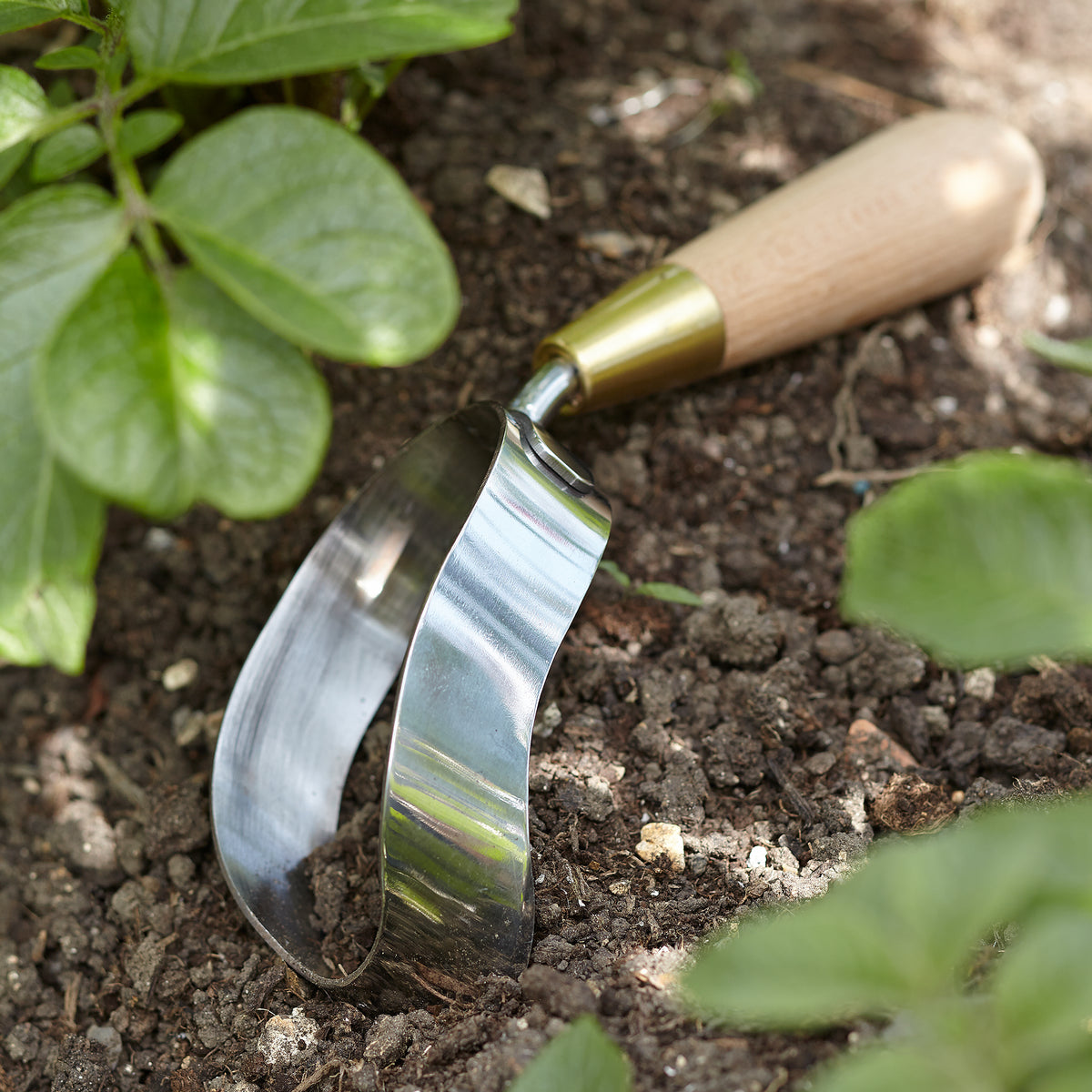 Garden Ergo Hoe