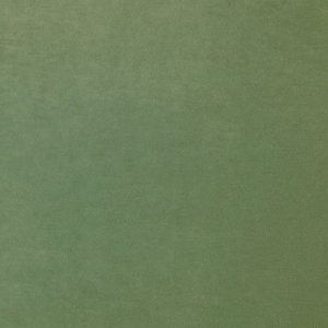Winter Moss Fabric Sample