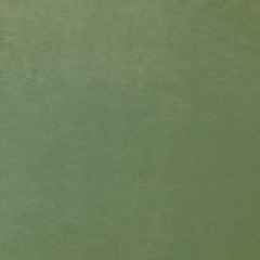 Winter Moss Fabric Sample