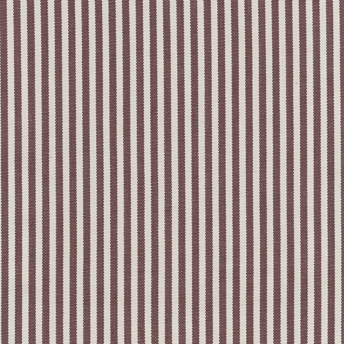 Narrow Chocolate Fabric Sample