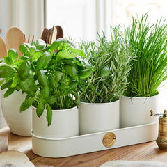 Buttermilk Herb Pots