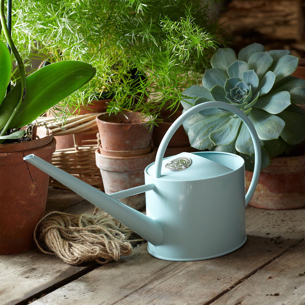 Large Indoor Watering Can - Ice Blue