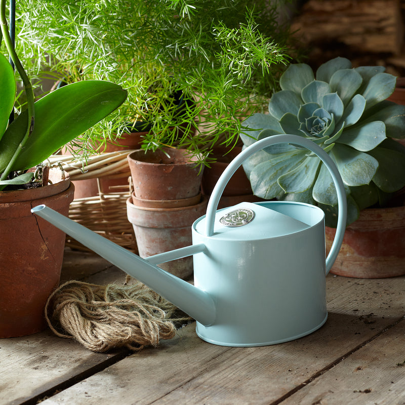Large Indoor Watering Can - Ice Blue