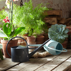 Large Indoor Watering Can - Ice Blue
