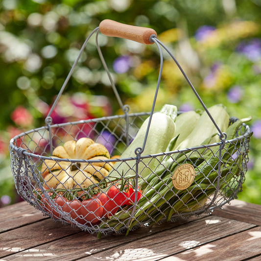 Large Grey Harvesting Basket