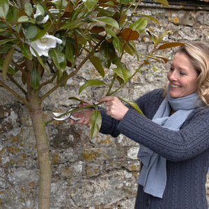 Garden Secateurs