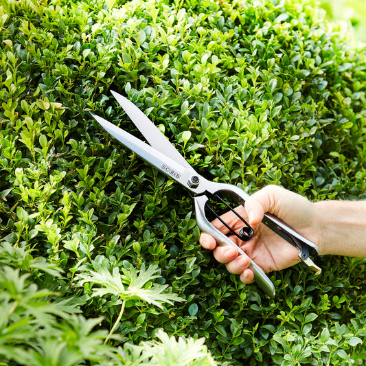 Garden Topiary Shear