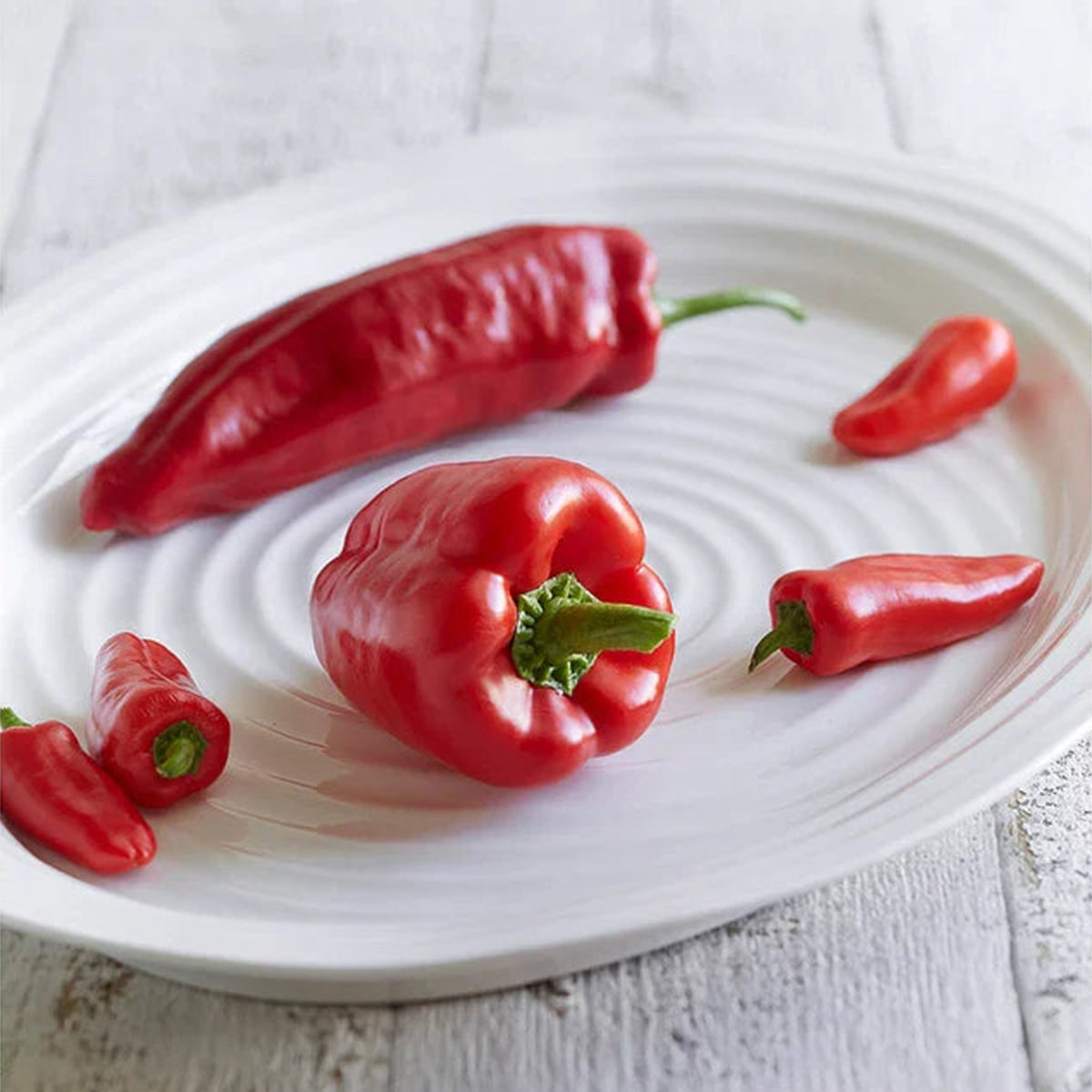 White Porcelain Large Platter