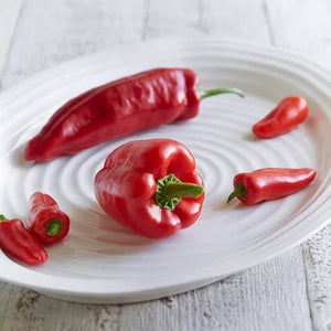 White Porcelain Large Platter