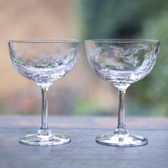 Two Champagne Saucers with Fern Design by Vintage List