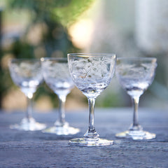 Six Liqueur Glasses with Ferns Design by Vintage List